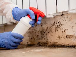 Why You Should Choose Our Mold Remediation Services in Indiana, PA